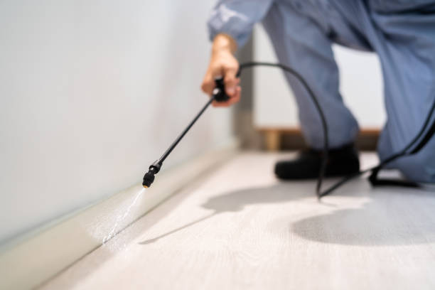 Licensed Pest Control service in Eagleville, PA - Show Me Pest Control