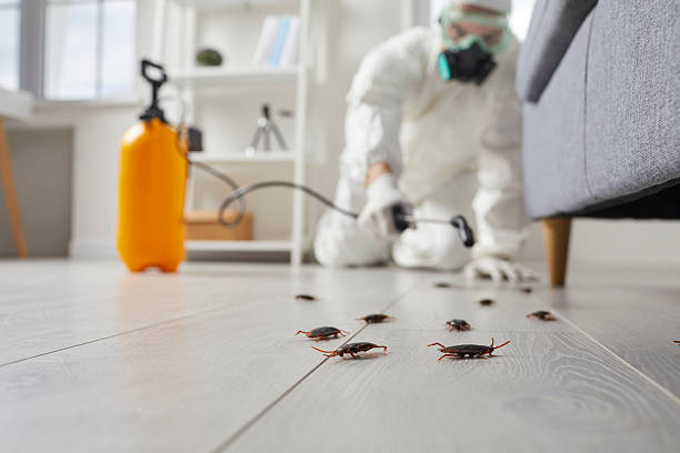 Commercial Kitchen Cockroach Control in Eagleville